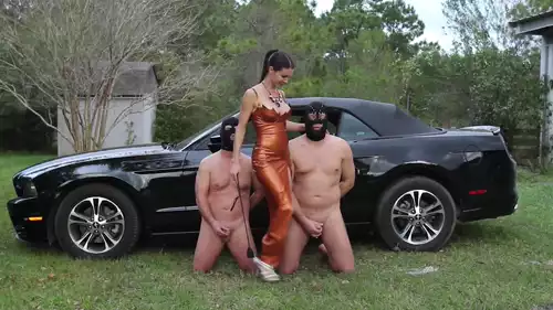 Mis Esclavos limpiando El Mustang